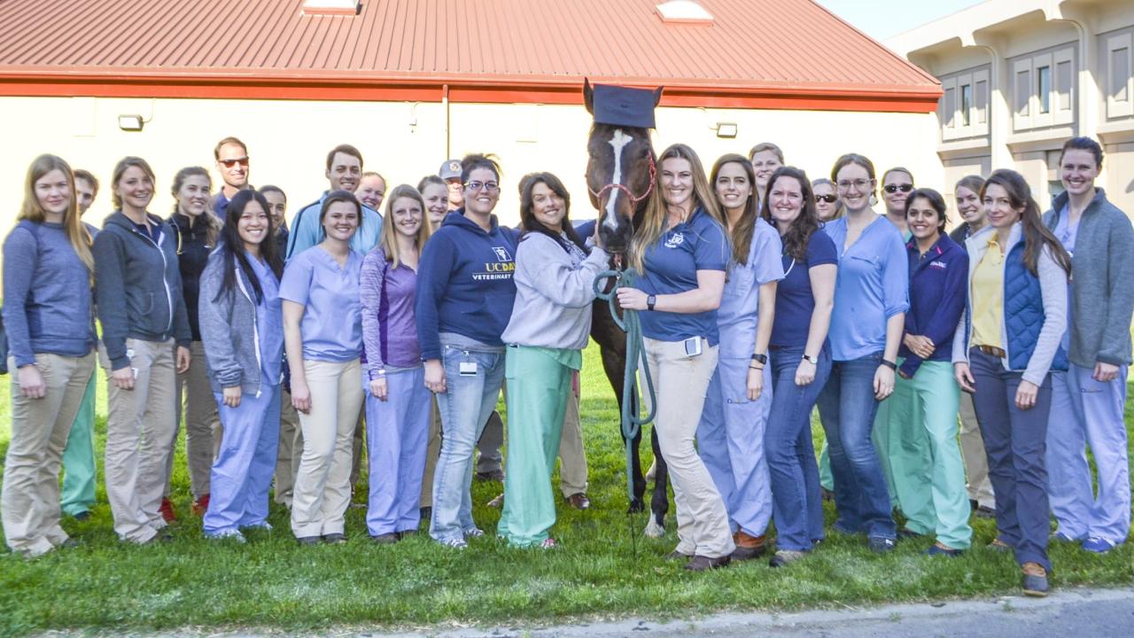 horse with students and staff