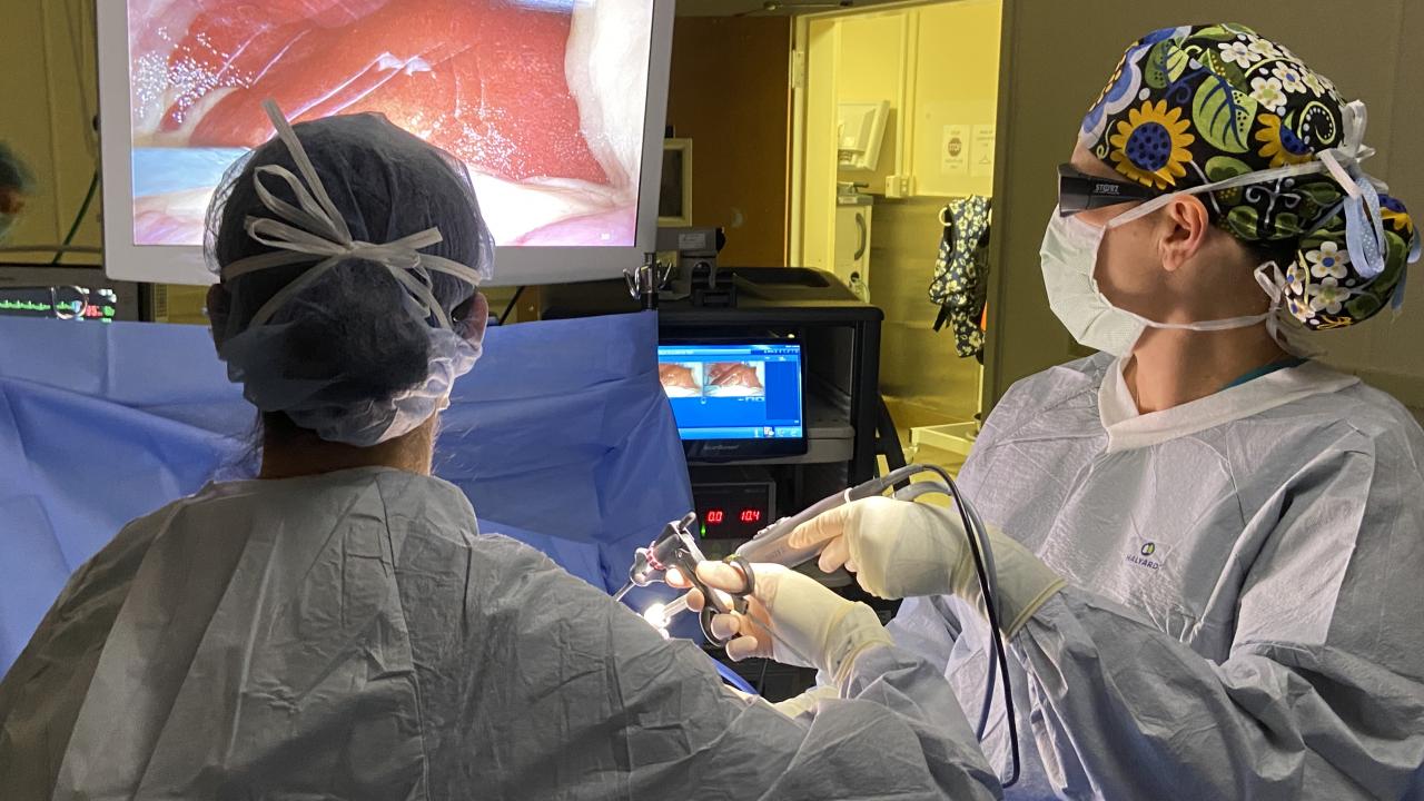 surgeons using 3D laparascope