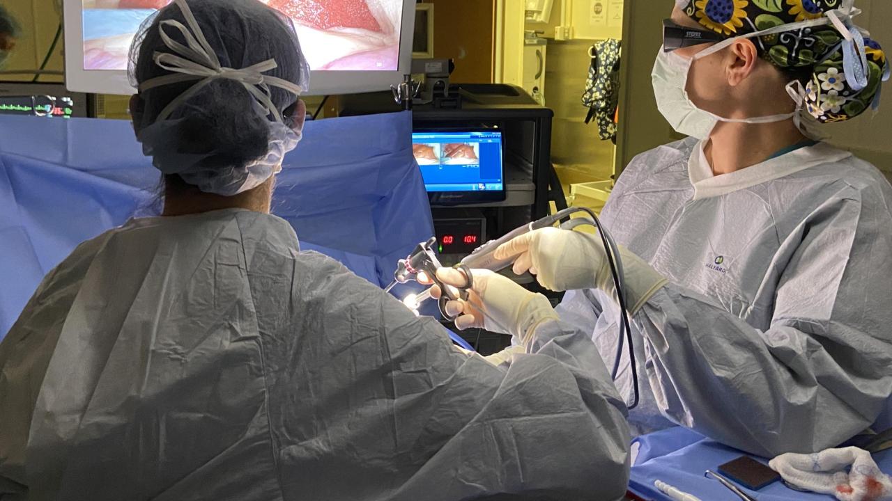 surgeons using 3D laparascope