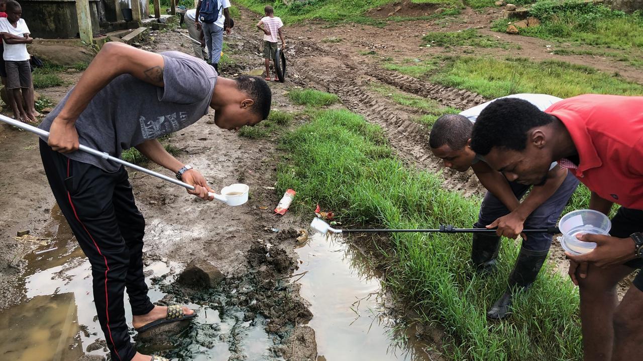 collecting mosquito larvae