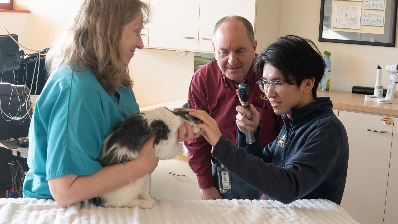 student and professors examining a cat's eye