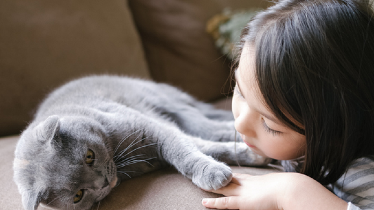 girl with cat