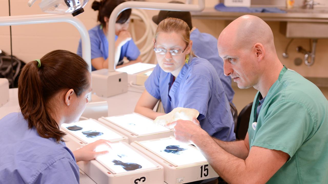 professor with veterinary students