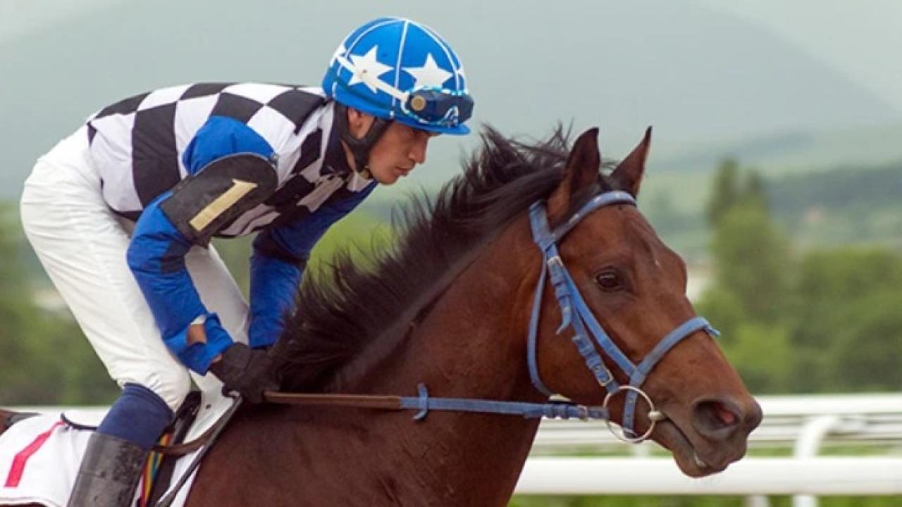 jockey on race horse
