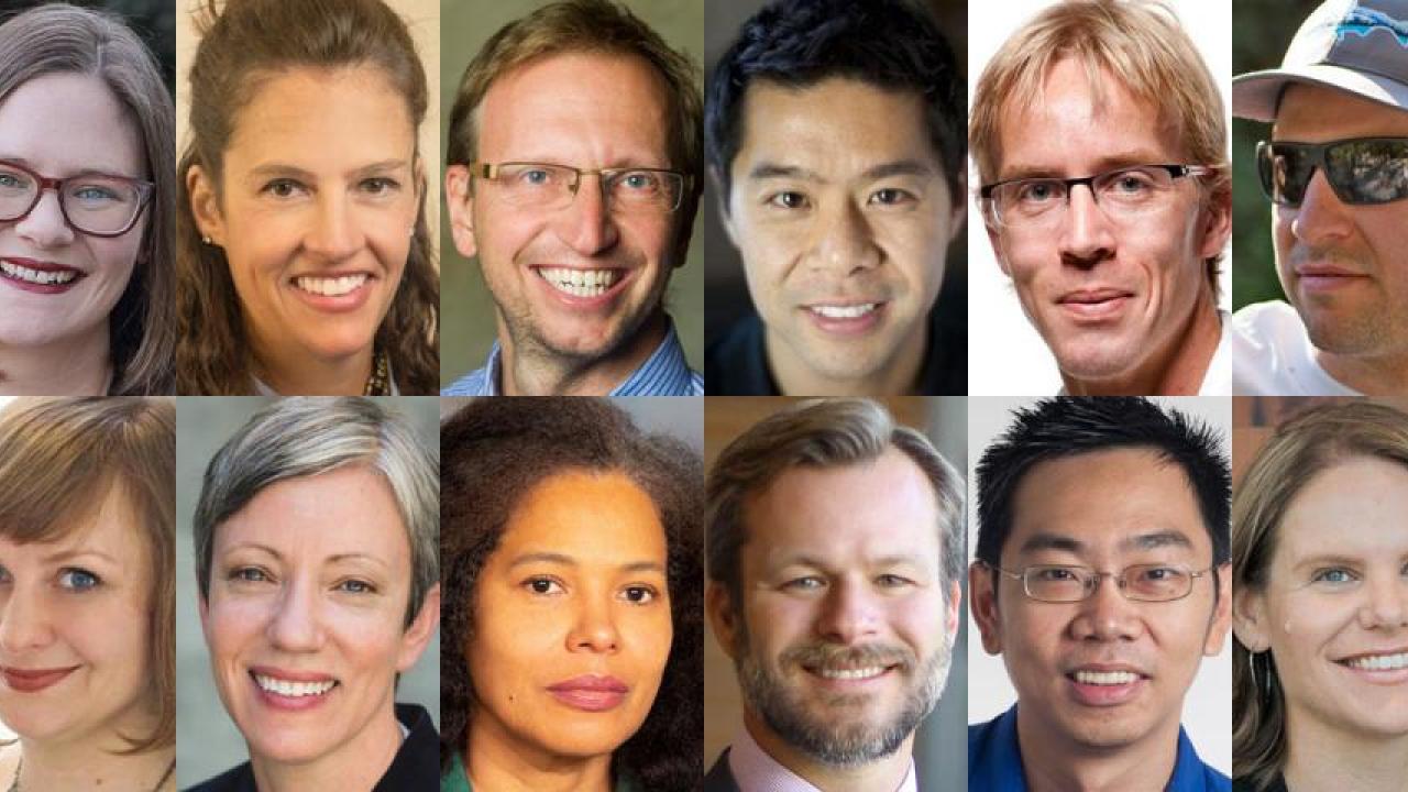Chancellor's Fellows