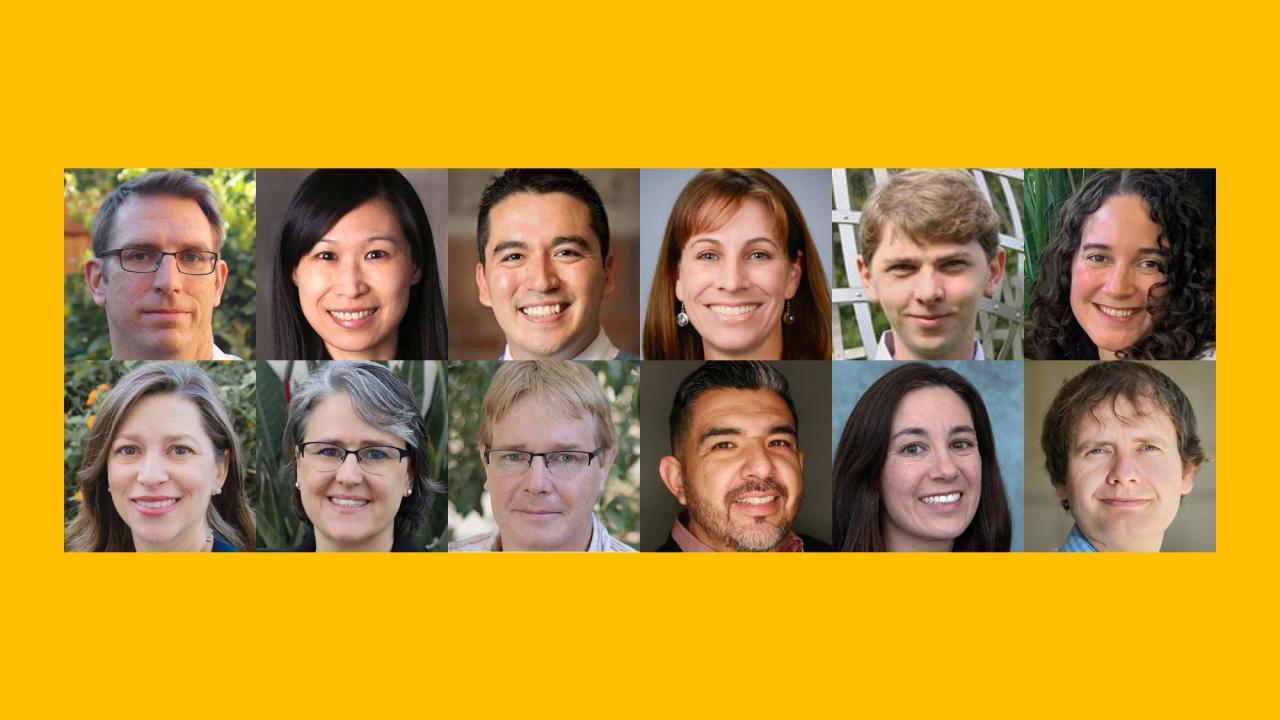 Chancellor's fellows