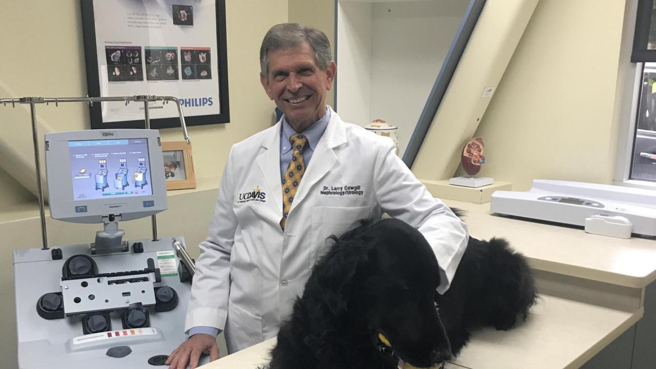 veterinarian with a dog and hemodialysis equipment