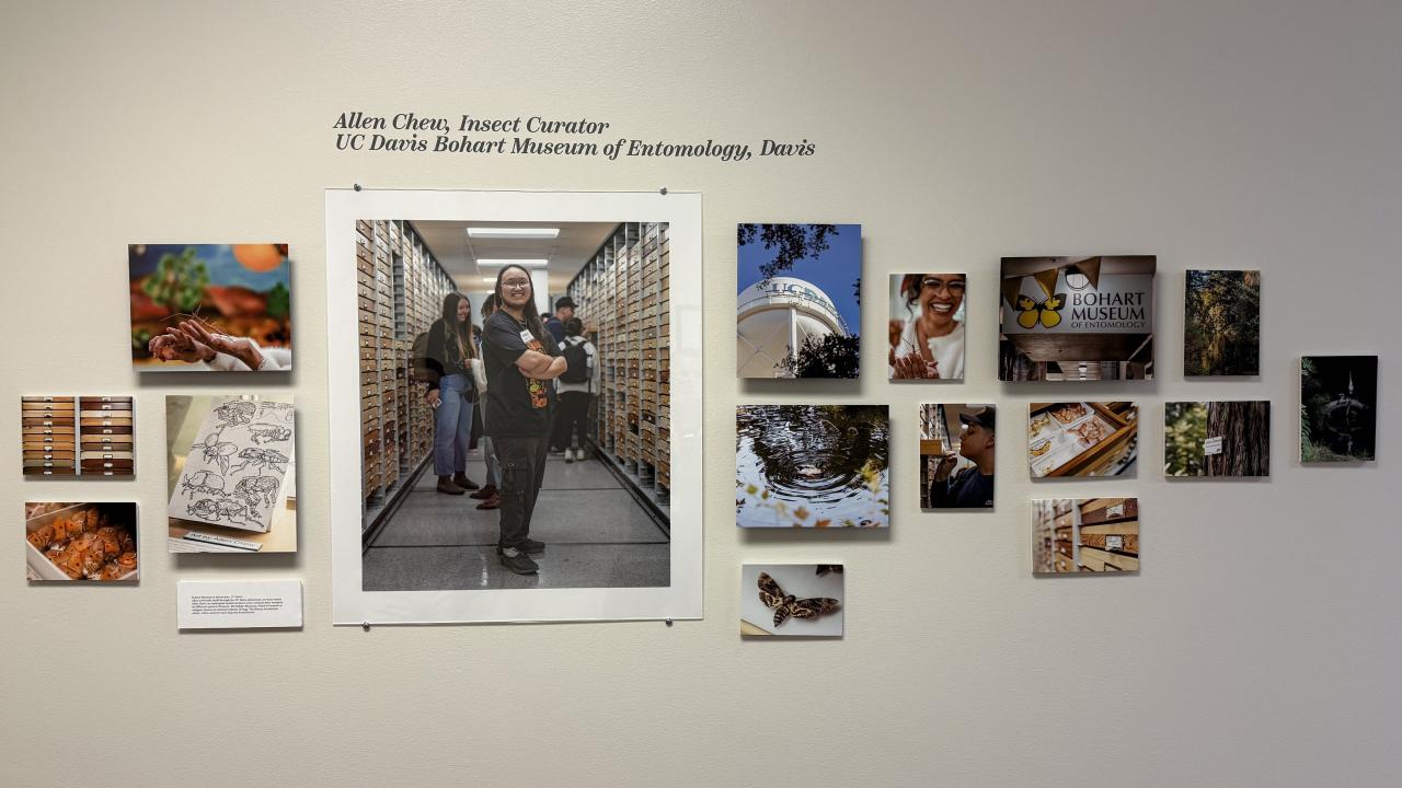 multiple photos on wall as part of art installation
