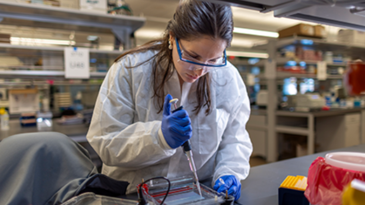 woman working in laboratory