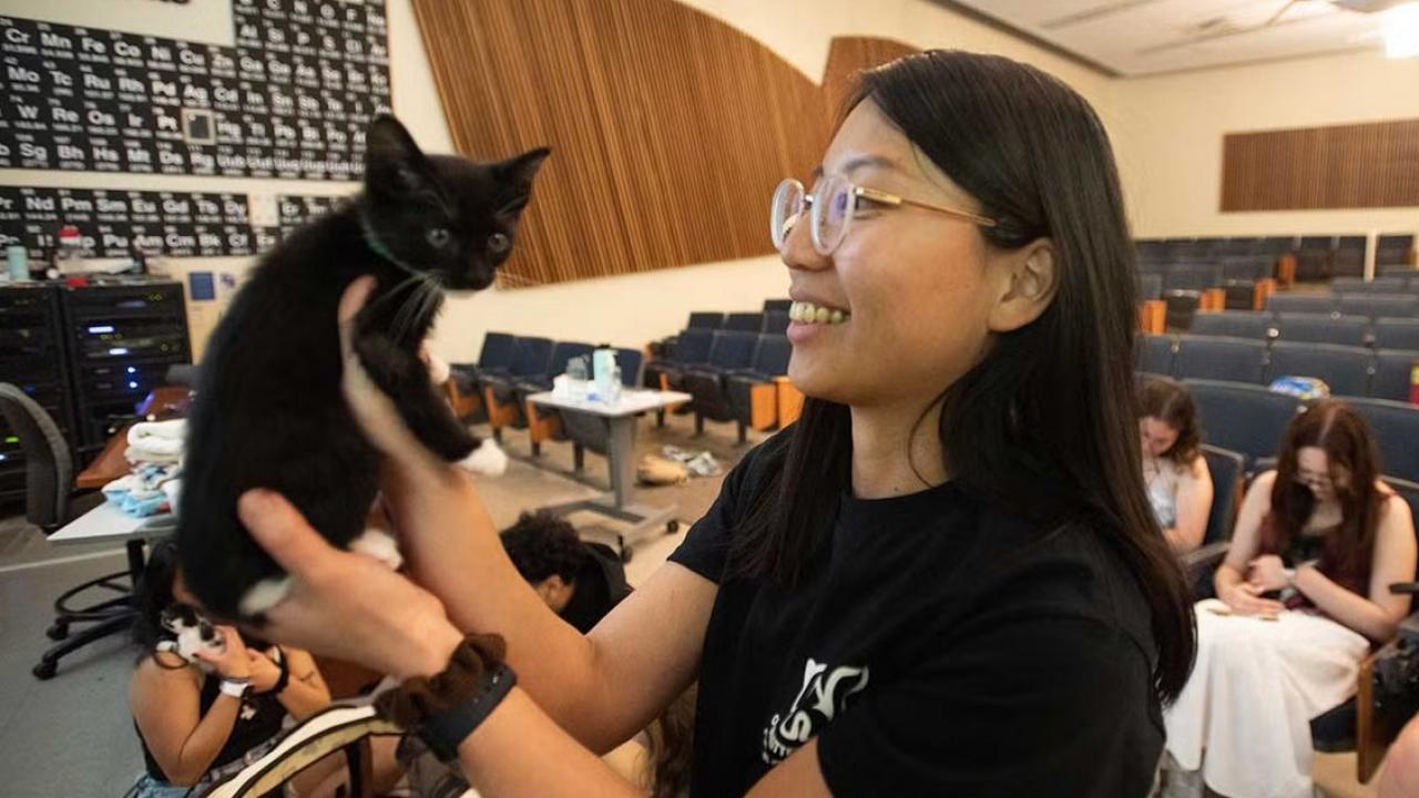 woman holding kitten