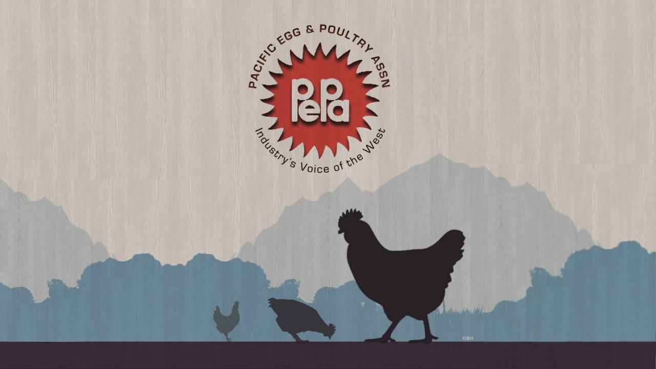 pepa logo of animated chickens grazing with mountains in background