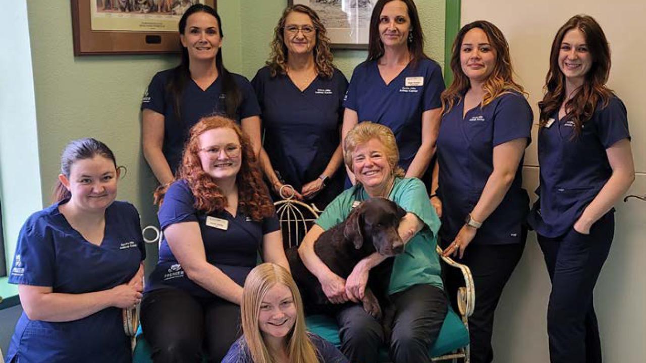 pillsbury-acorn-hills-animal-center image