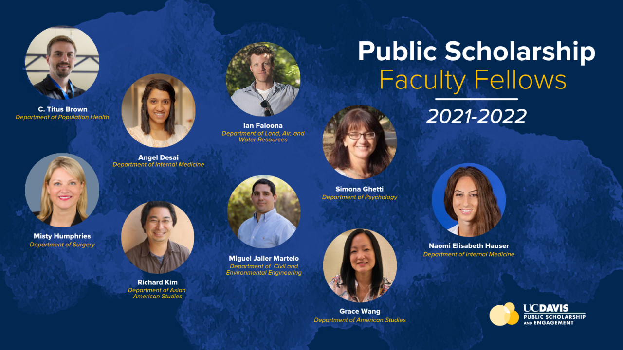 faculty fellows