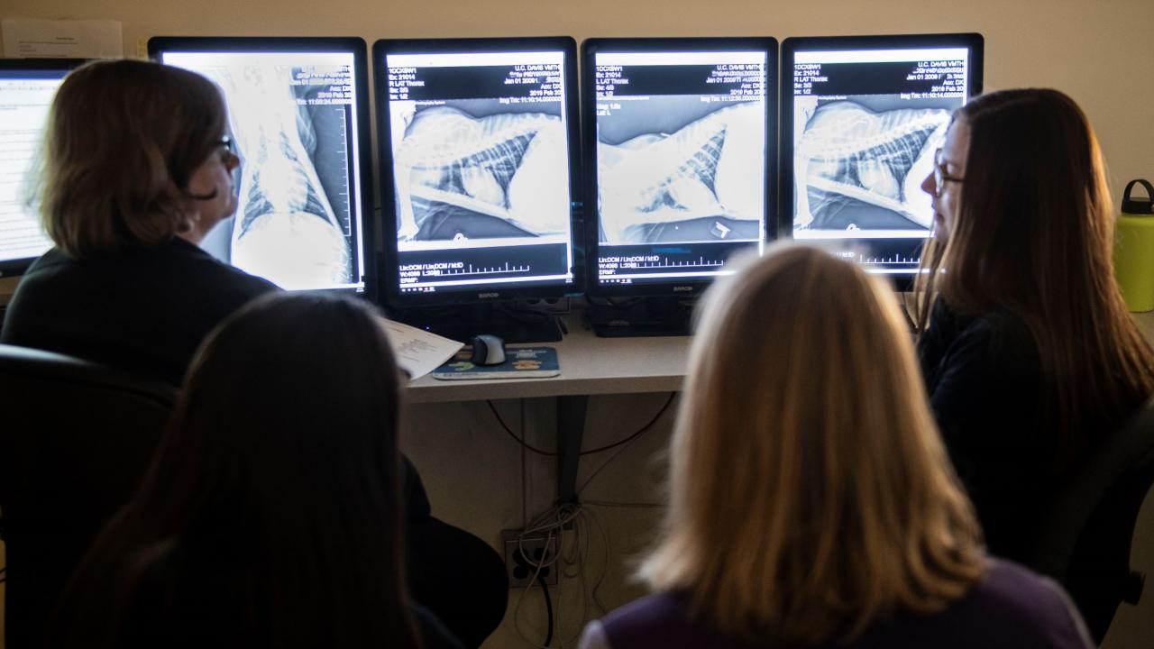 SVM residents and students study a radiograph at the UC Davis veterinary hospital.