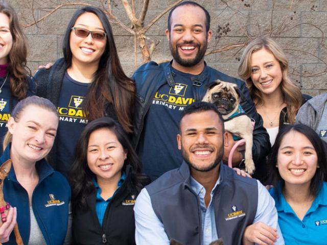 Group of veterinary students with dogs