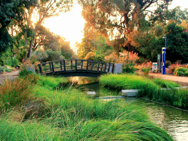 Person jogging along the path near a bridge in the arboretum.