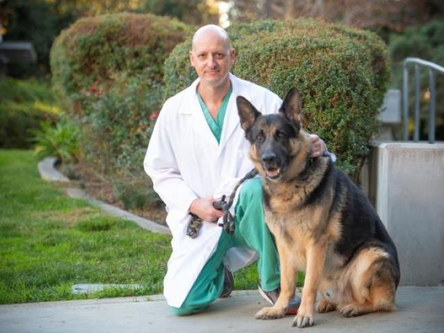 Dr. Boaz Arzi with German shepherd