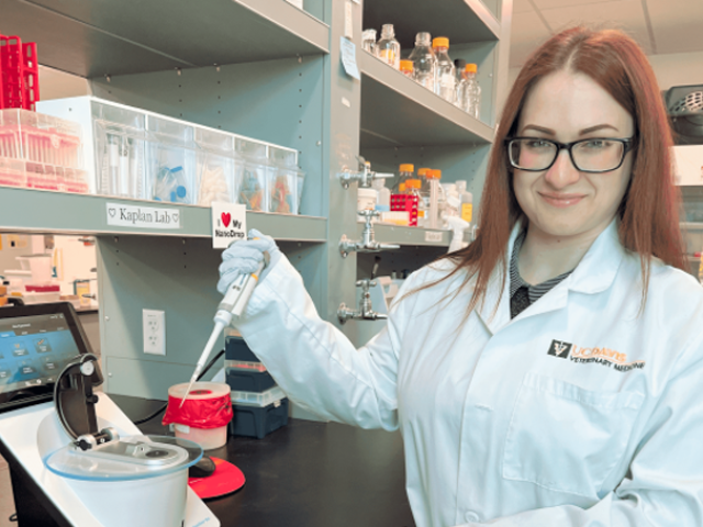 A person in a lab pipetting.