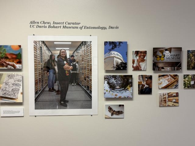 multiple photos on wall as part of art installation