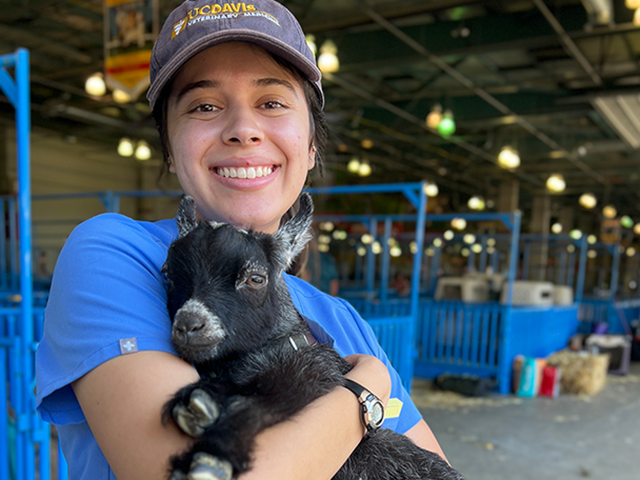 A vet holding a baby goat.