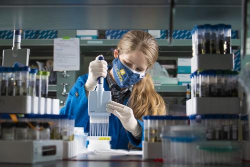 Back in the lab, Stevi Vanderzwan, laboratory manager for the Mammalian Ecology and Conservation Unit at UC Davis, processes scat and analyzes the DNA. The samples help create the “family tree” of the individuals living in the high Sierra. Credit: Don Preisler/UC Davis