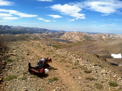 Cate Quinn, a post-doctoral researcher in UC Davis’ Mammalian Ecology and Conservation Unit, collects fox scat in the high Sierras. “The DNA found in scat is very powerful. You can tell which fox it came from and who they’re related to,” said Quinn. Credit: C. Quinn