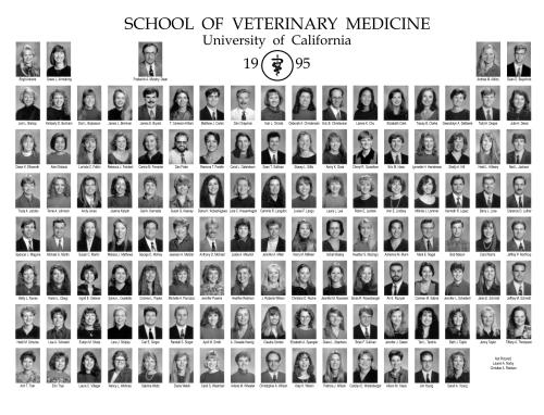 Class of 1995 composite