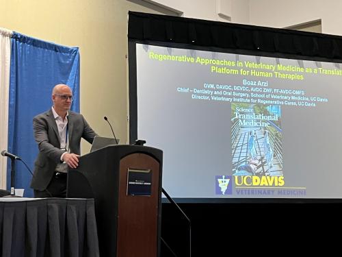 veterinarian at podium present research