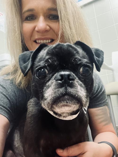 close up photo of dog and woman's faces