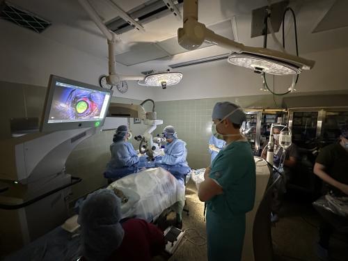 veterinarian observing surgery on screen next to patient