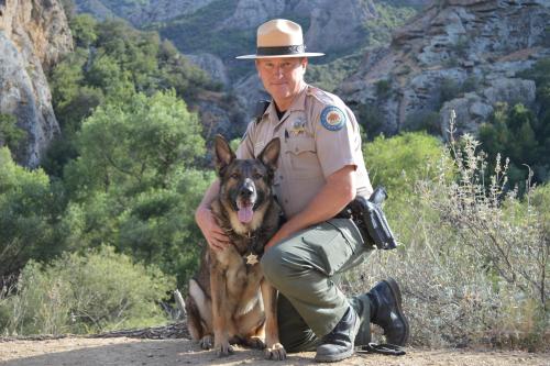 park ranger and dog