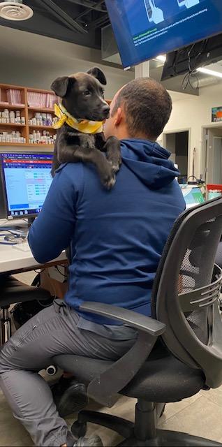 Sean Gadson with dog3