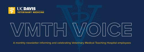 VMTH Voice masthead design