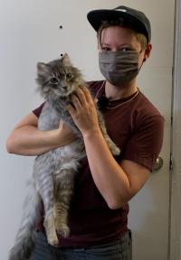 person holding cat