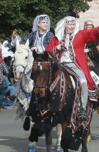 horse in parade