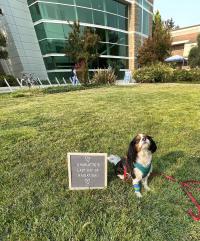 Charlotte in front of the UC Davis veterinary hospital