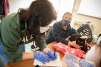 UC Davis veterinarian and student examine a cat