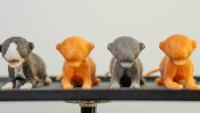 3d printed kitten models
