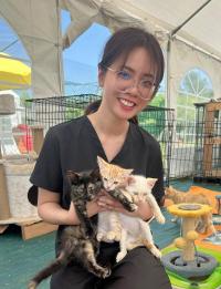 A vet student holding three kittens inside an outdoor tent.