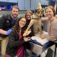 UC Davis veterinary team with Mija the dog in celebratory hat
