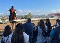 man on horse in front of group of veterinary students