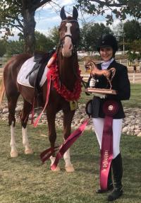 rider standing next to horse with trophy and ribbons displayed