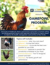 Gamefoul Wellness poster