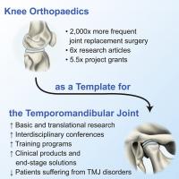 illustration of knee and jaw joints