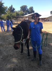 veterinary student with horse