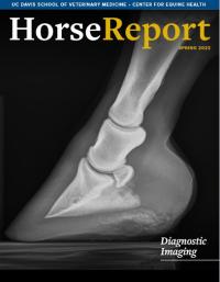 cover of latest issue of Horse Report