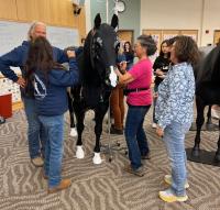 group looking at horse model