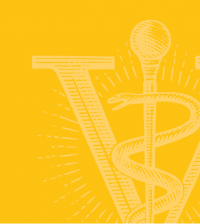 rod of asclepius scaled on gold background