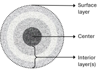 A urolith diagram.