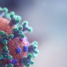 coronavirus under microscope